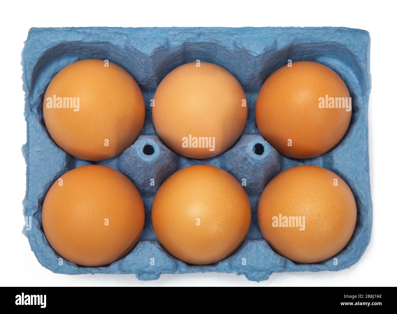 Ein Karton mit sechs auf Weiß isolierten Eiern Stockfoto
