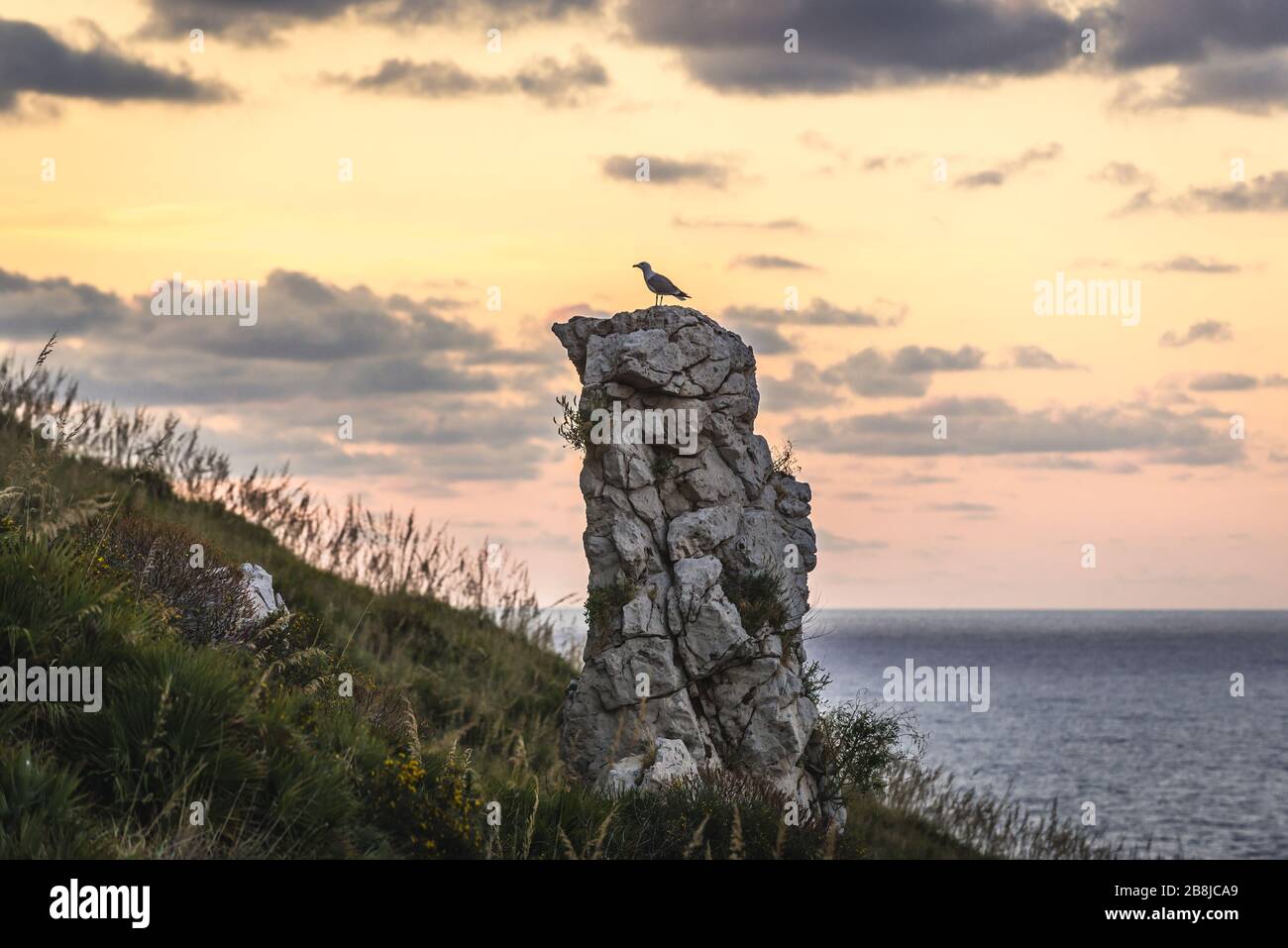 Möwe auf einem Felsen auf dem Vorgebirge von Capo Zafferano am Tyrrhenischen Meer in der Gemeinde Santa Flavia auf der Insel Sizilien in Italien Stockfoto