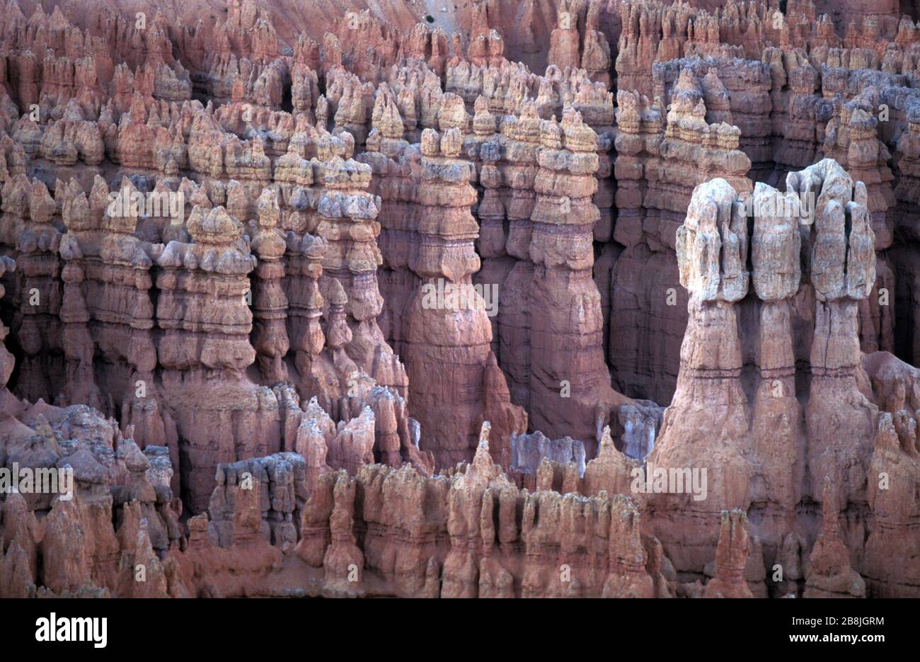 Bryce Canyon National Park. Utah. Erosion der Fluss- und Seeboden sedimentäre Felsen, USA Stockfoto