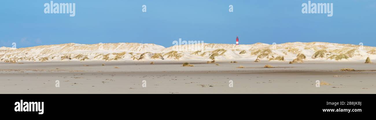 Ultraweiter Panoramablick auf Dünen mit Leuchtturm der deutschen Nordseeinsel Amrum Stockfoto