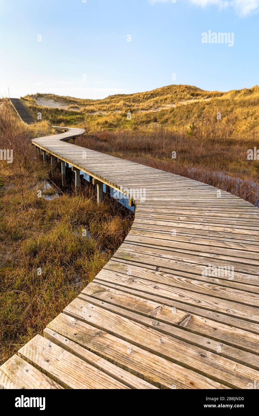Holzweg, der durch Sumpf und Dünen zum Strand der deutschen Nordseeinsel Amrum führt Stockfoto