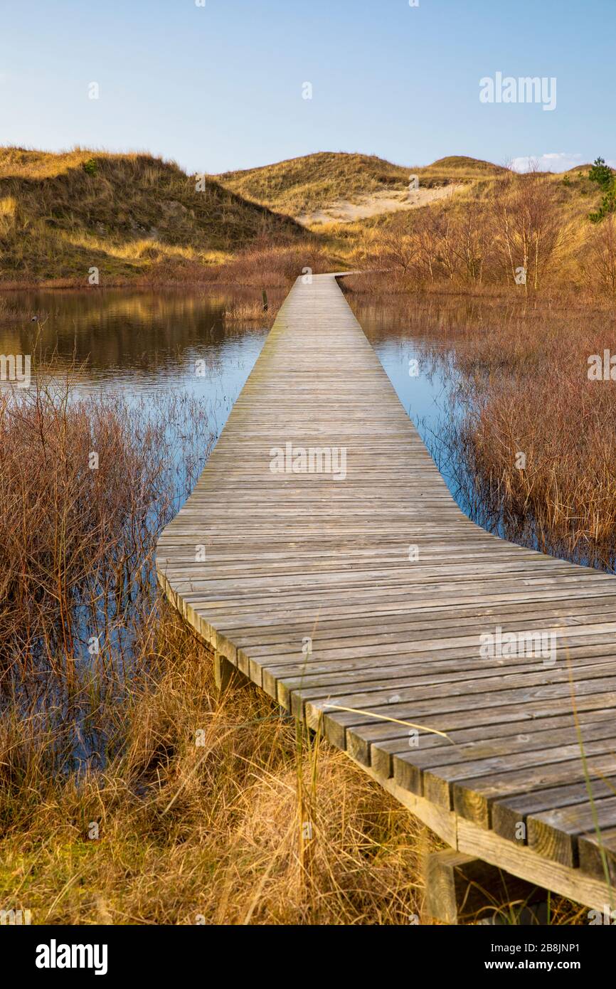 Holzfußpfad durch die Dünen der deutschen Nordseeinsel Amrum, der einen Teich in der Nähe der Ortschaft Wittdün überquert Stockfoto