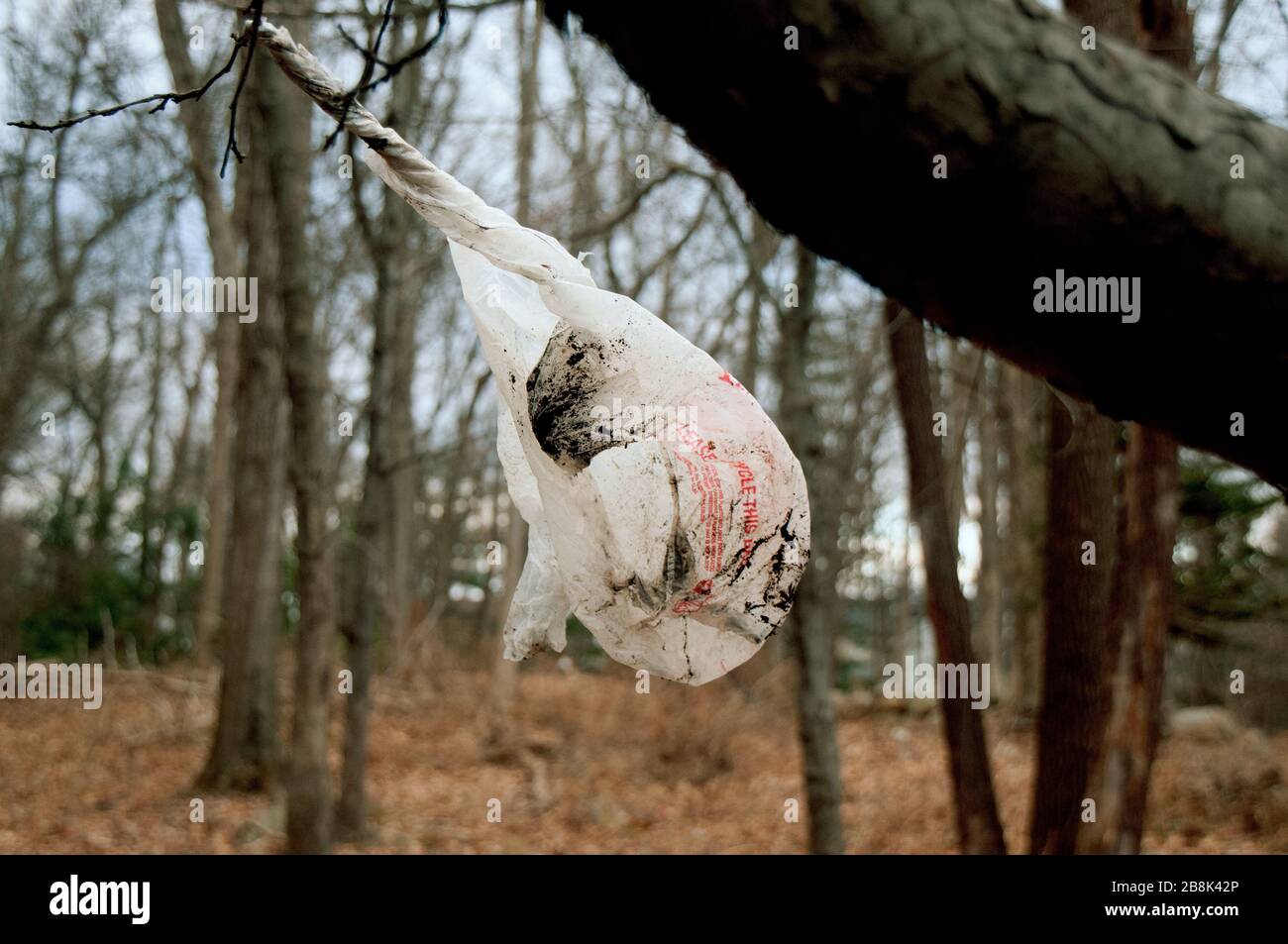 Plastiktute Die Am Baum Hangt Und Im Wind Weht Stockfotografie Alamy