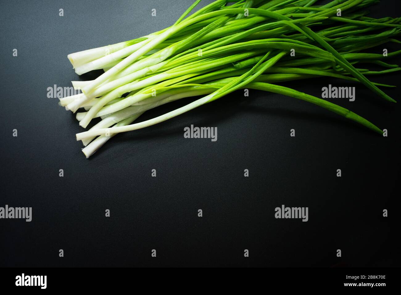 Grüne Zwiebel isoliert auf schwarzem Hintergrund. Kopierbereich. Stockfoto