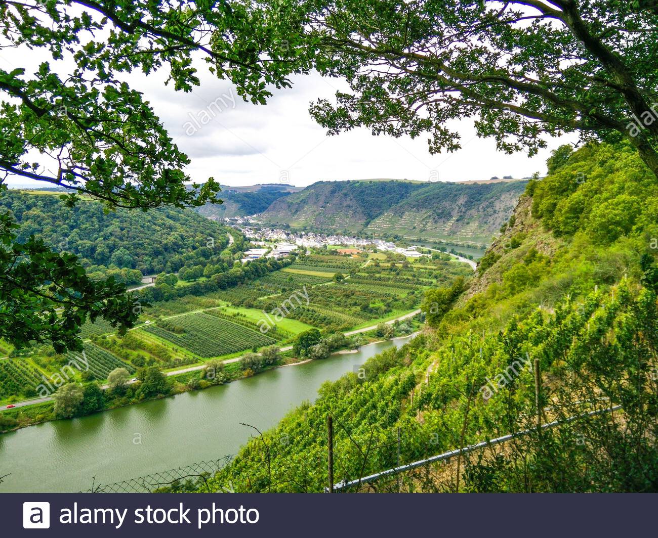 Mosel Moseltal Germany Stockfotos und bilder Kaufen Alamy