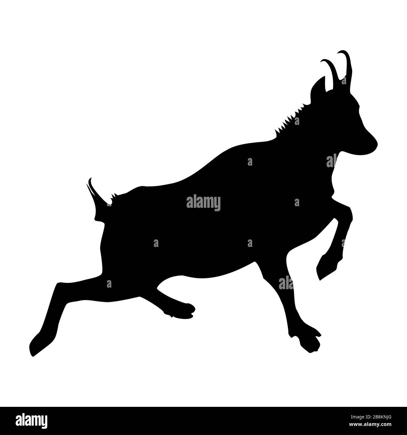 Bergziege (Rupicapra Rupicapra) Silhouette in Schwarz - Seitenprofil. Zeichnung einer echten Gesimse, die in den Bergen läuft. Stock Vektor