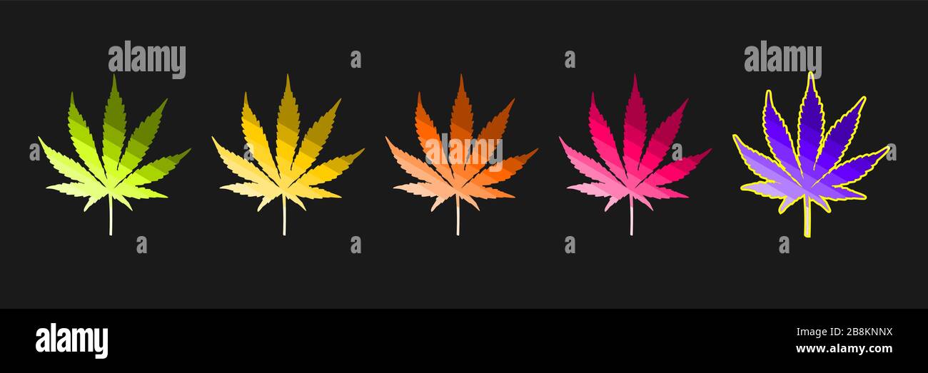 Fünf Hempblätter (Canabis) in grünen, gelben, orangefarbenen, roten und violetten Farbverläufen, isoliert auf schwarzem Hintergrund. Stock Vektor