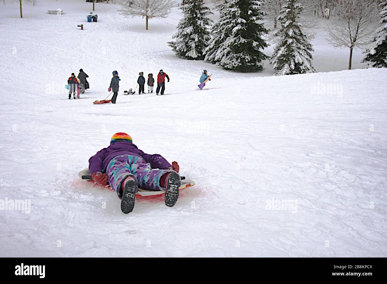 Wintersport-Rodeln - Kinder-Rodeln auf dem Berghang im Winter Stockfoto