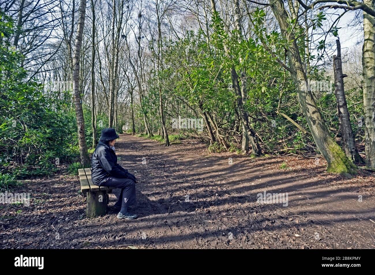 Seitenansicht, ältere Frau, dunkle Kleidung, die allein auf Bank am Waldweg sitzt. Konzept, Einsamkeit, Nachdenklichkeit, Isolation, Kontemplation, Nostalgie Stockfoto