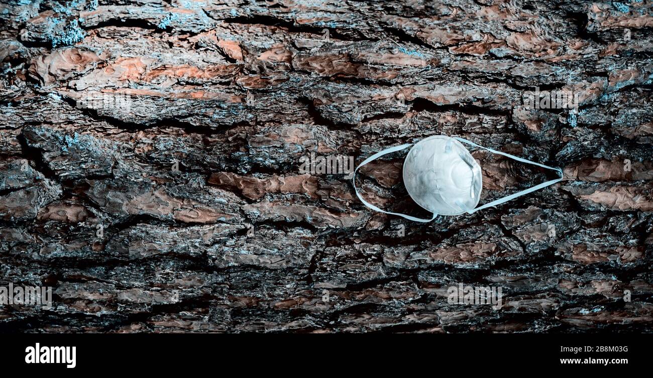 Eine weiße Maske hängt von einem Baumzweig in einem Wald ab - in der Nähe. Wegen unzureichender Gesichtsmaske während der Covid-19-Krise. Corona-Virusquarantäne. Stockfoto