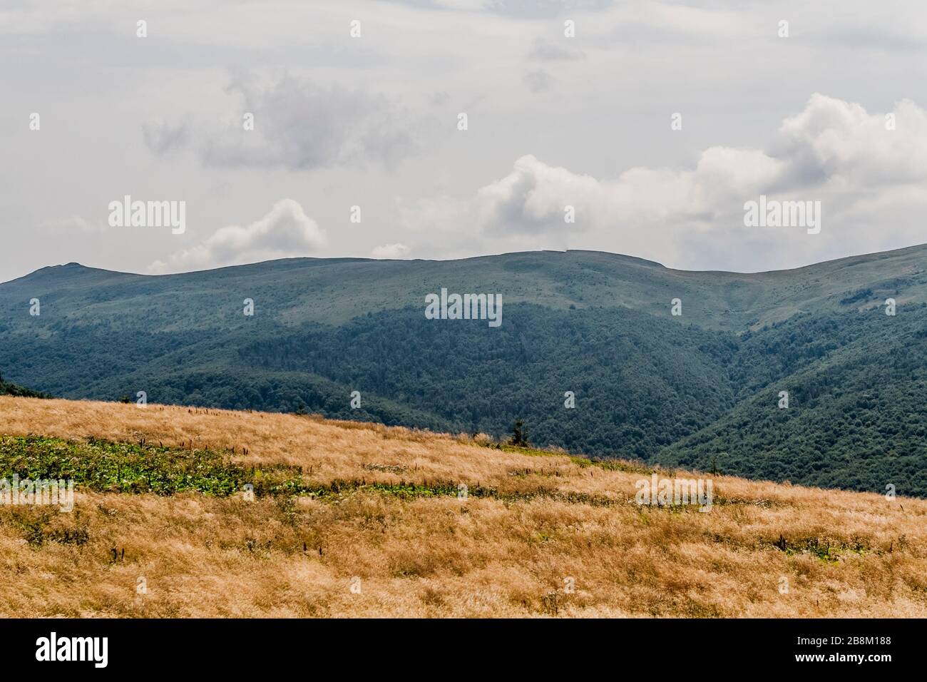 Straße von Widełki durch Bukowe Berdo und Tarnica nach Wołosate im Bieszczady-Gebirge in Polen Stockfoto