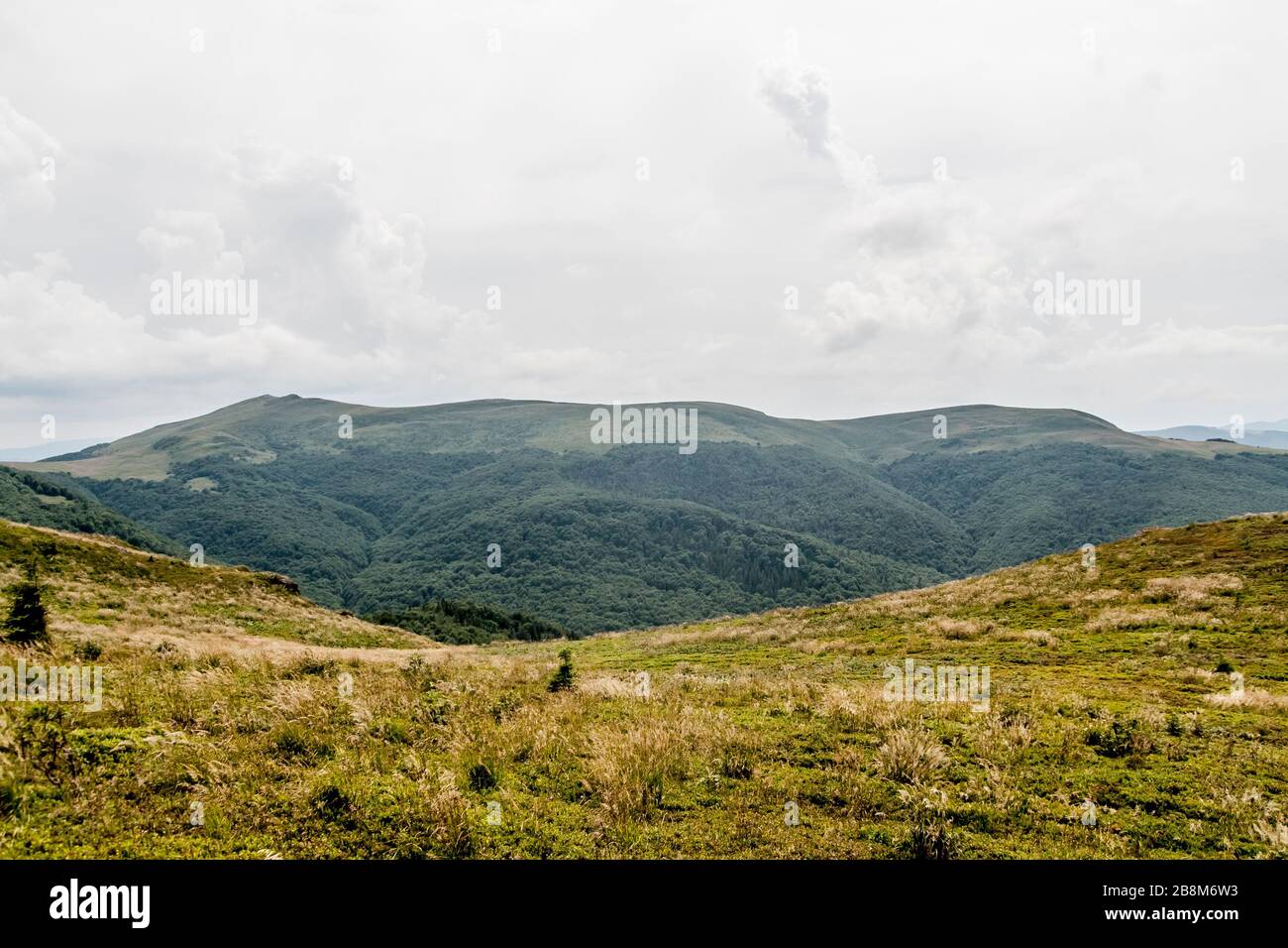 Straße von Widełki durch Bukowe Berdo und Tarnica nach Wołosate im Bieszczady-Gebirge in Polen Stockfoto