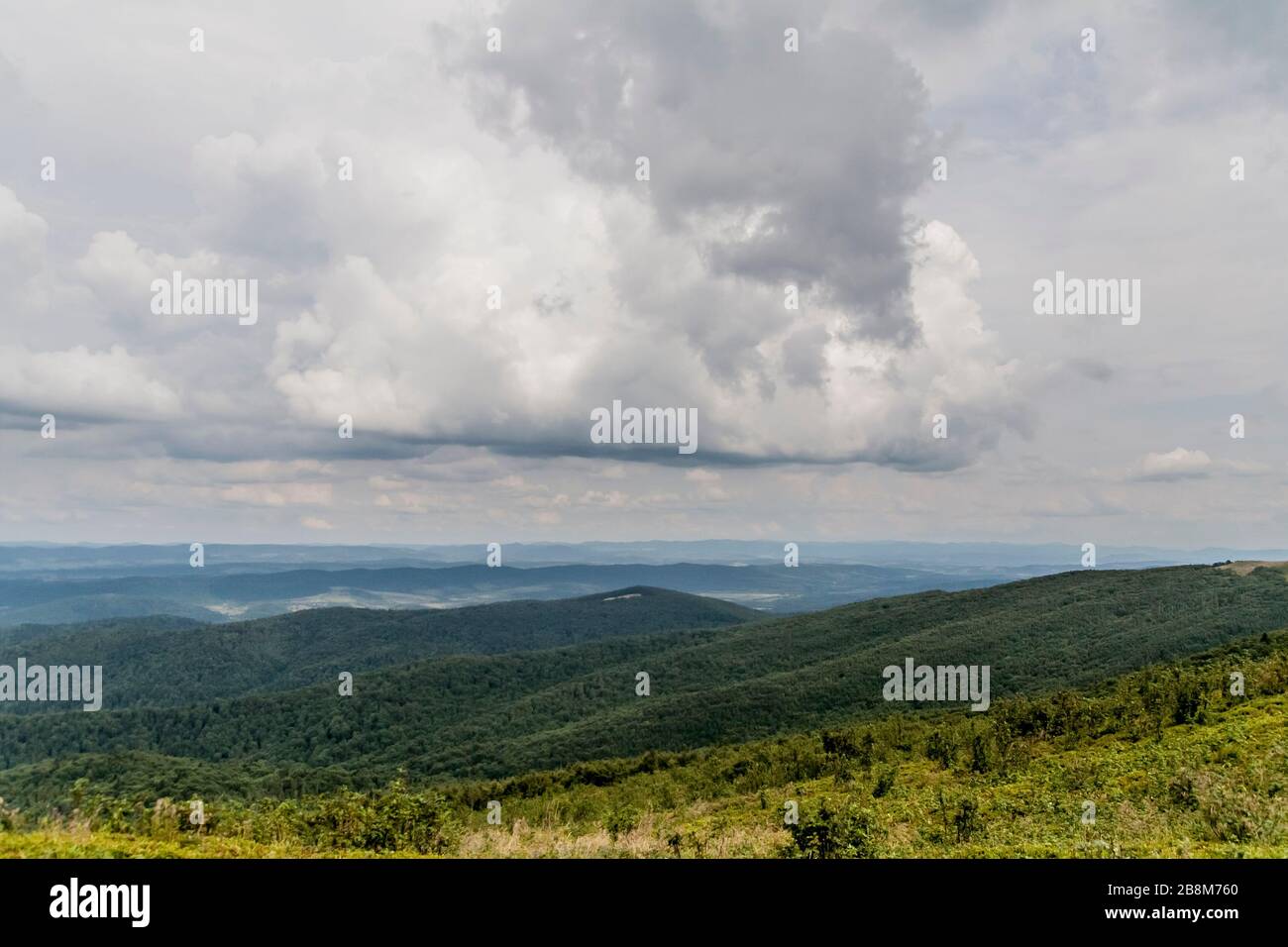 Straße von Widełki durch Bukowe Berdo und Tarnica nach Wołosate im Bieszczady-Gebirge in Polen Stockfoto