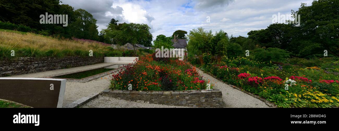 June Blake's Garden, Wicklow, Irland, Garten, Gärten, Staudengrenze, Mischung, gemischt, Pflanzen, Stauden, Dahlien, Lilium, helenium, Persicaria, Angelica, Lärche Stockfoto