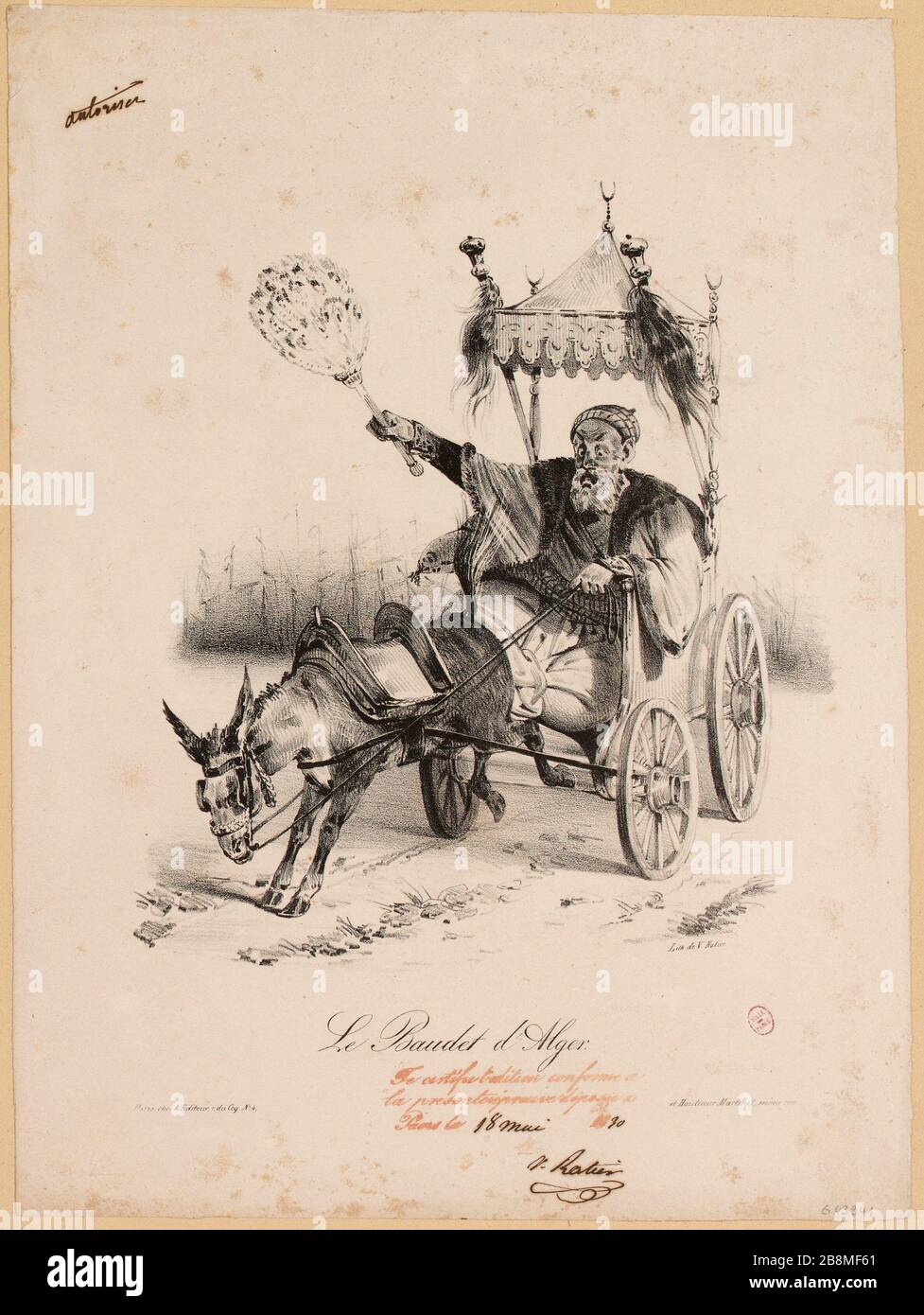 Der Baudet Alger. (TI) Stockfoto