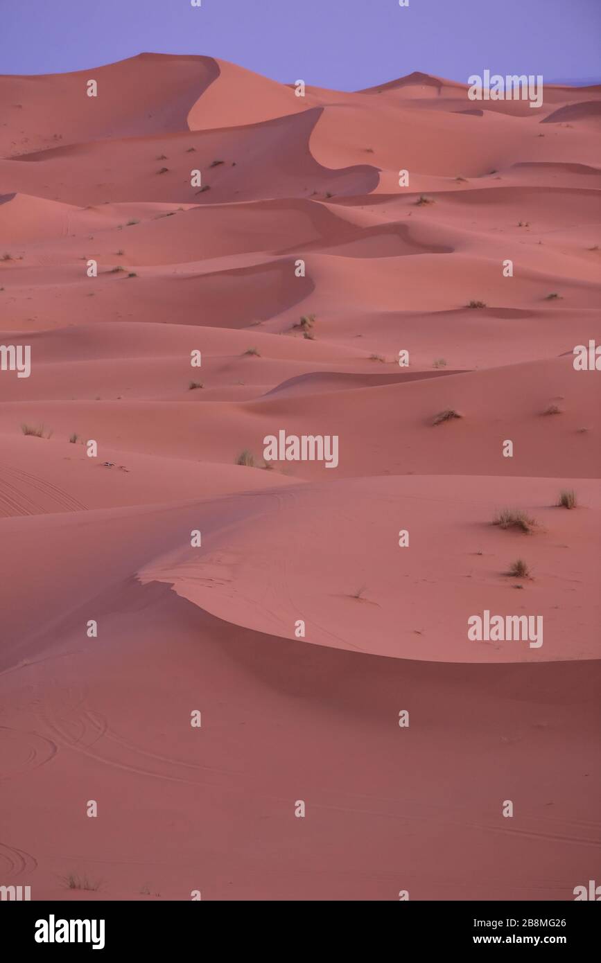 Morgenlicht über den Serpentinendünen von Erg Chebbi, vorsaharische Wüste, Marokko, Nordafrika. Stockfoto