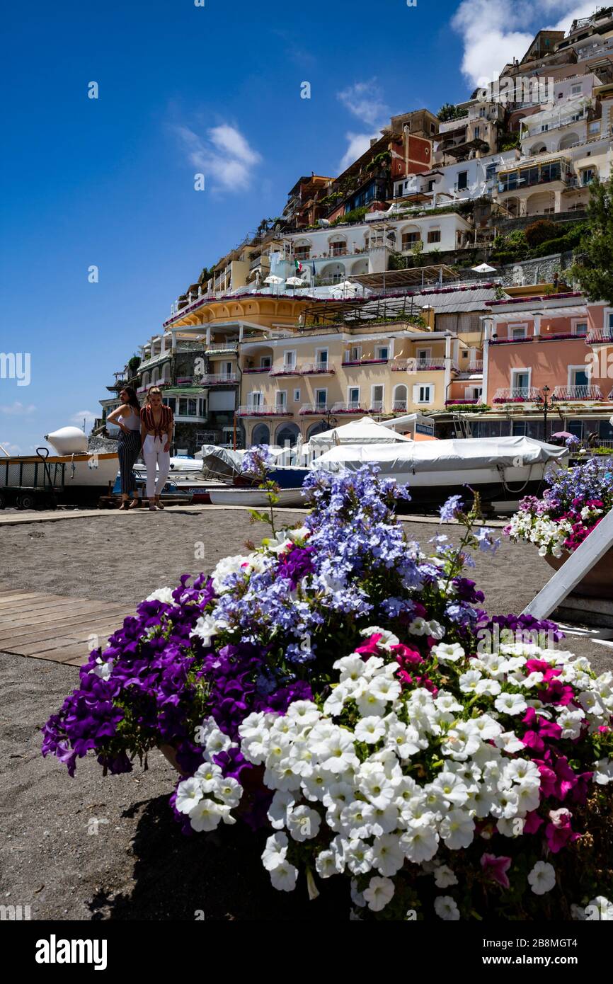 Petunien blühen in Positano an der Amalfiküste, Kampanien, Italien. Stockfoto