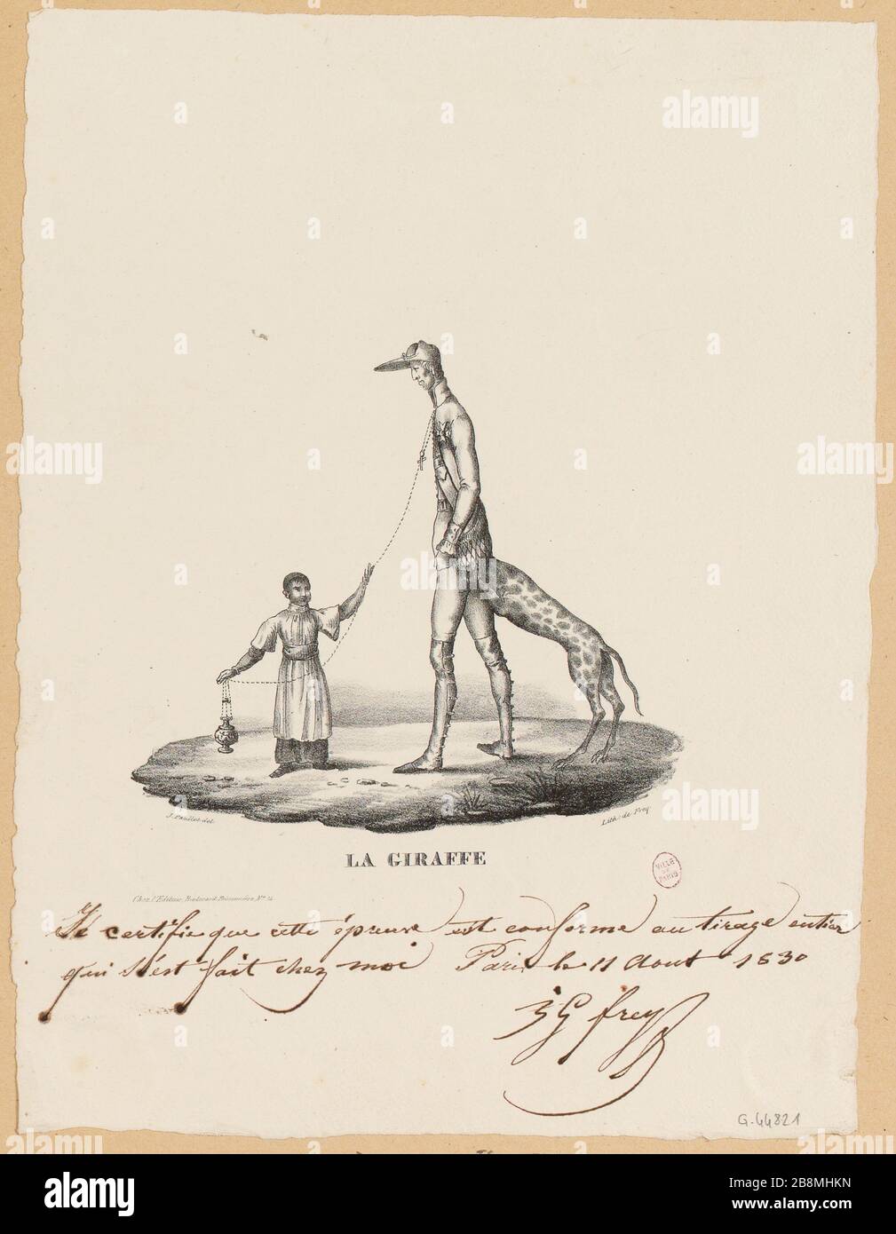 Giraffe. (TI) Stockfoto