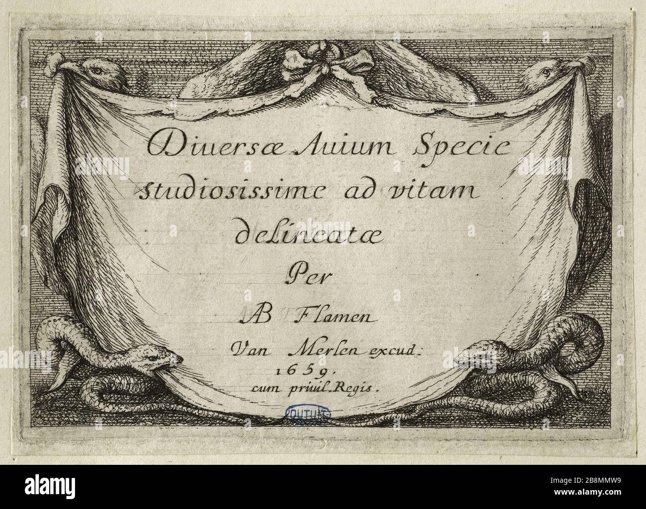 Différents oiseaux, Titel (Robert-Dumesnil 389, Bartsch 68) Albert Flamen (1620-1674). Différents oiseaux, titer (Robert-Dumesnil 389, Bartsch 68). Eau-forte, 1659 (de). Musée des Beaux-Arts de la Ville de Paris, Petit Palais. Stockfoto