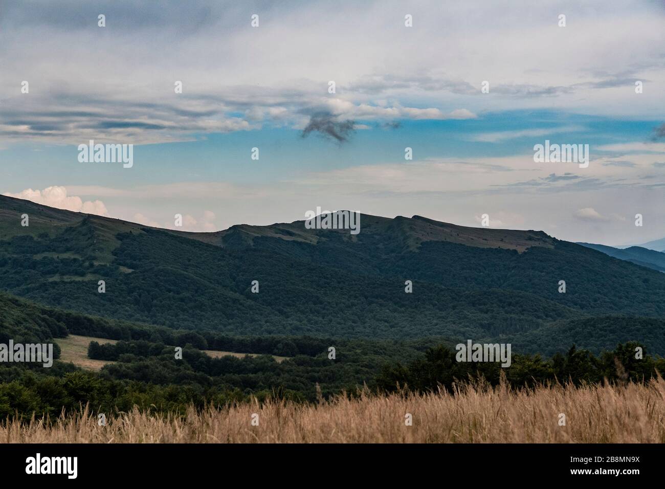 Straße von Widełki durch Bukowe Berdo und Tarnica nach Wołosate im Bieszczady-Gebirge in Polen Stockfoto