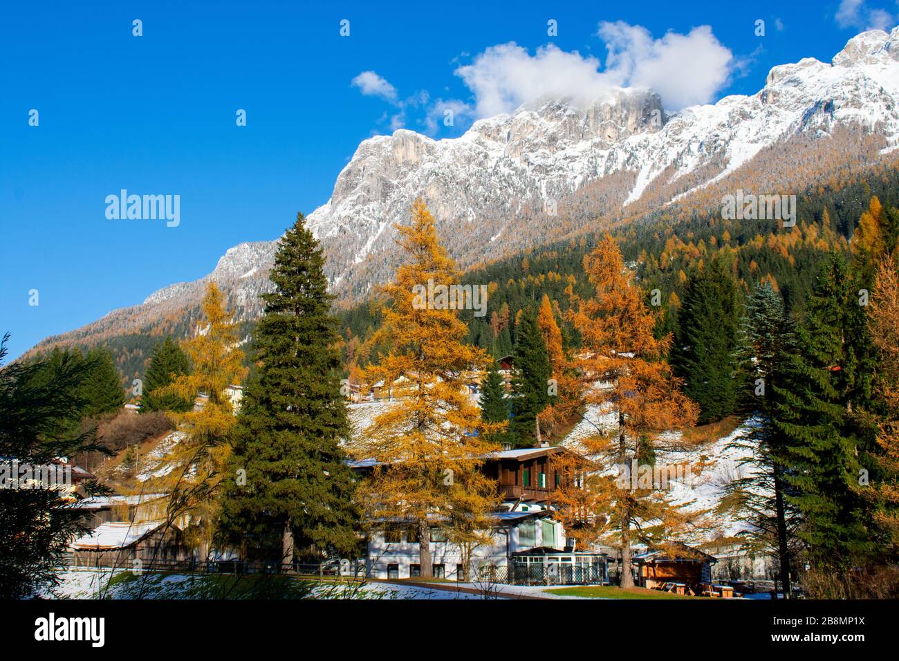 Italien, Trentino, Fassatal - 10. november 2019 - das Herbstwunder des Fassatals Stockfoto