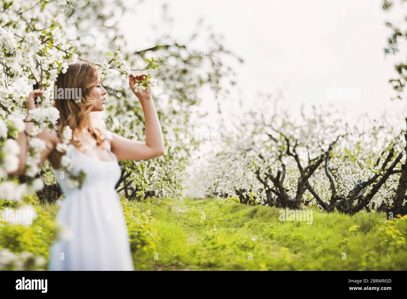 Schöne verträumte Frau im weißen Kleid im blühenden apfelgarten. Stockfoto