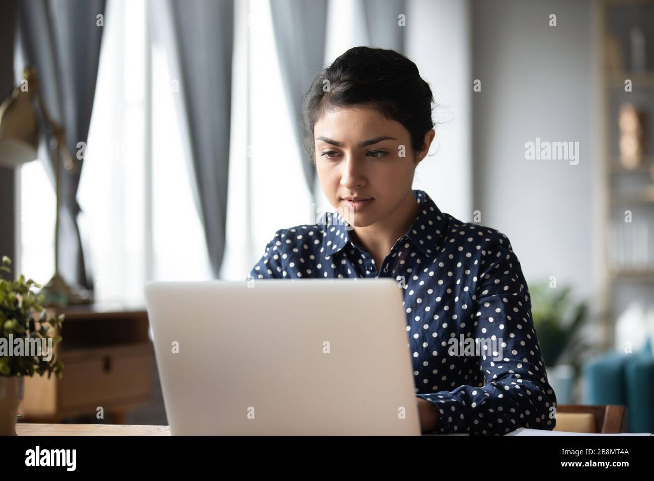Seriöse Indianerin, die auf dem Laptop arbeitet und auf den Bildschirm schaut Stockfoto