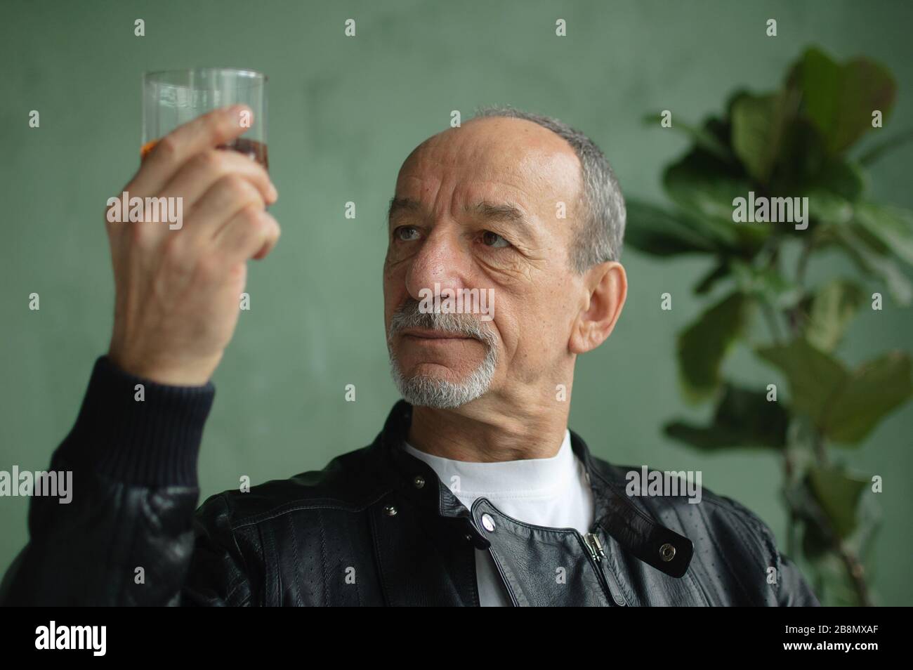 Senior Mann mit Bart und Schnurrbart hält Glas Brandy oder Whisky. Alchol Degustation, Verkostungskonzept Stockfoto