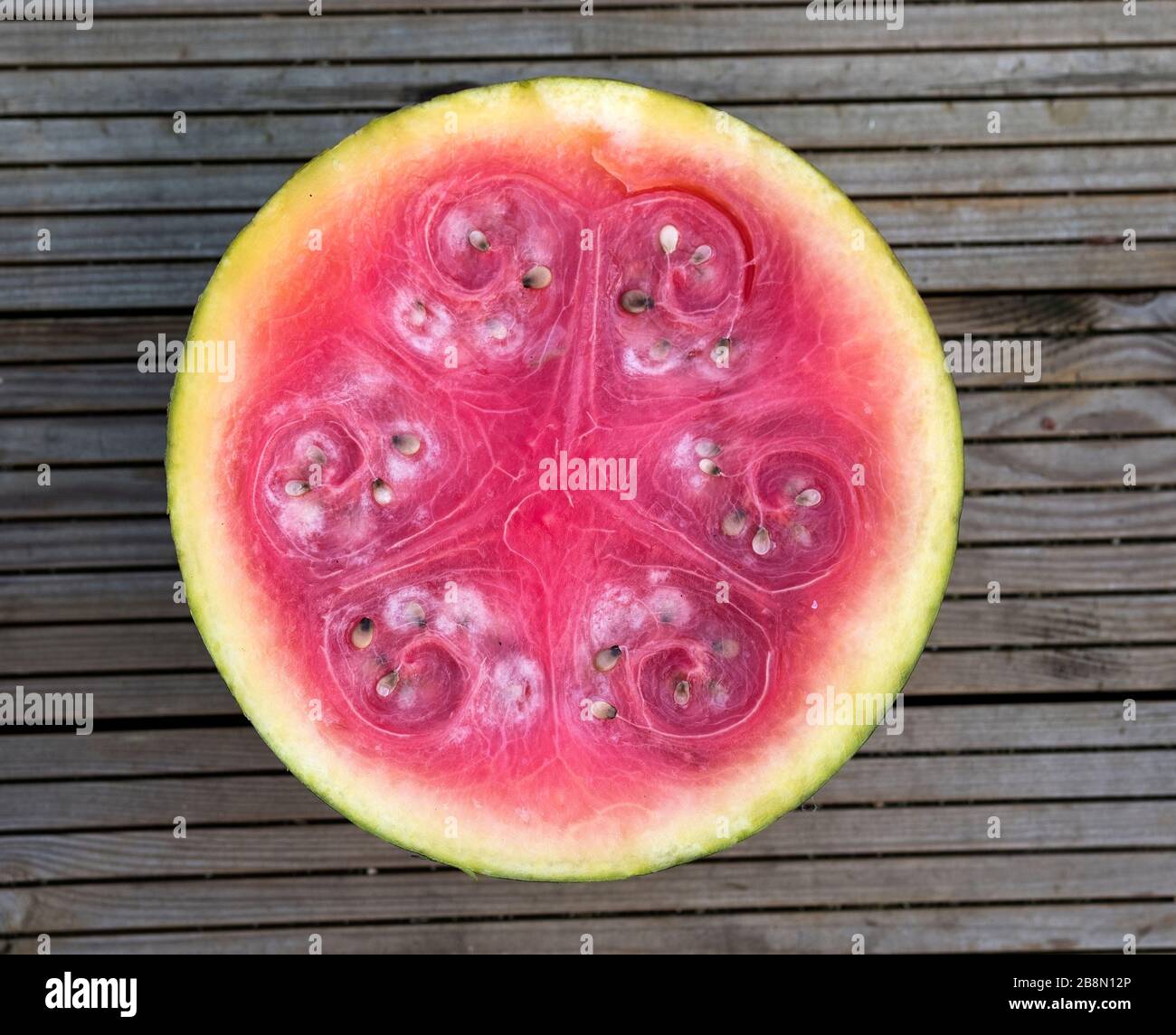 Verrottete Wassermelone in Scheiben Stockfoto