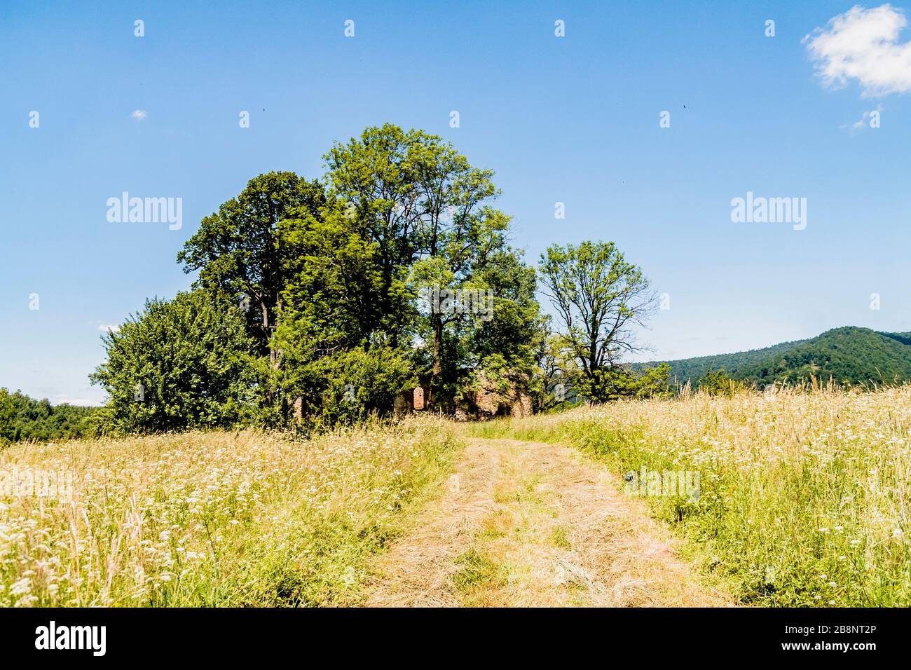 Kryve am Fluss San - ein ehemaliges Dorf im Bieszczady-Gebirge - seine Einwohner wurden 1947 von den kommunistischen polnischen Behörden vertrieben. Stockfoto