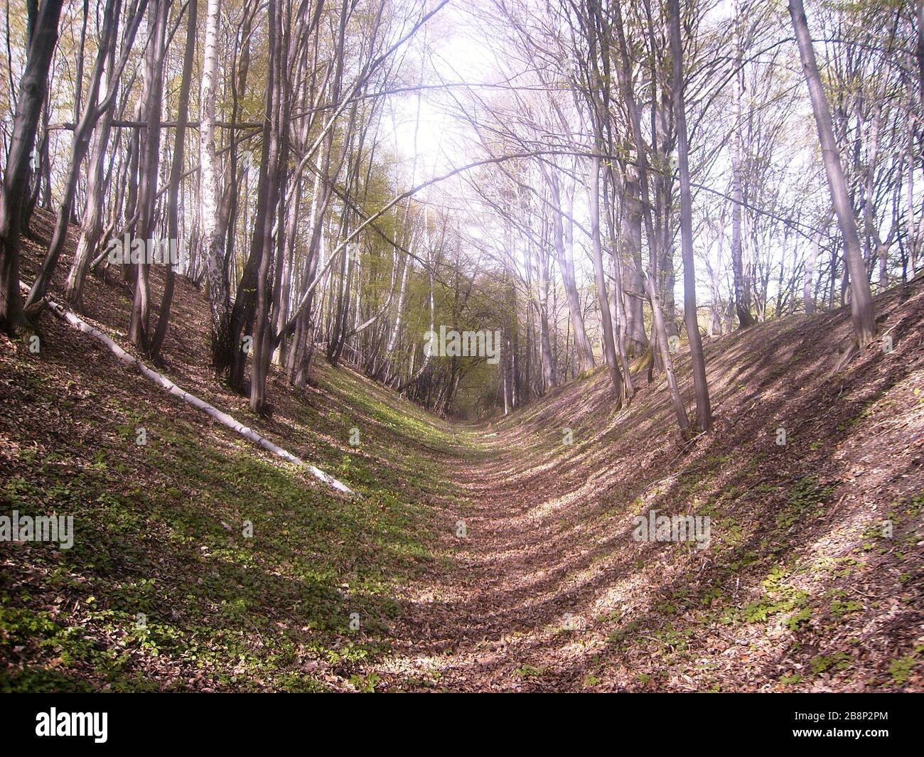 Keltisches oppidum Fotos und Bildmaterial in hoher Auflösung Alamy