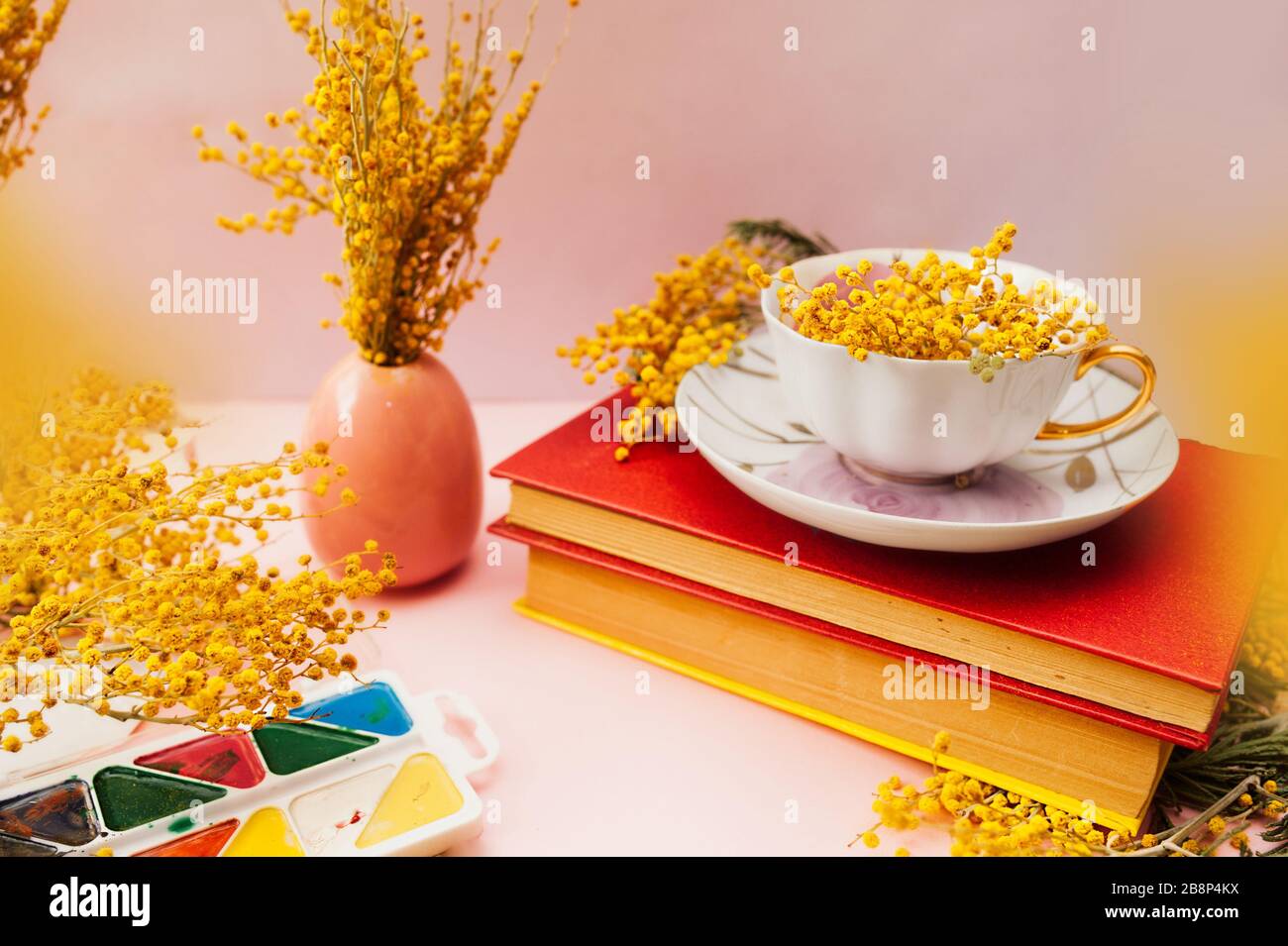 Wunderschönes Frühlings-Stillleben, ein Blumenstrauß von Mimosa in einem weißen Porzellanbecher auf weichem rosa Hintergrund mit zwei Jahrbüchern in einem harten roten Cover mit VI Stockfoto