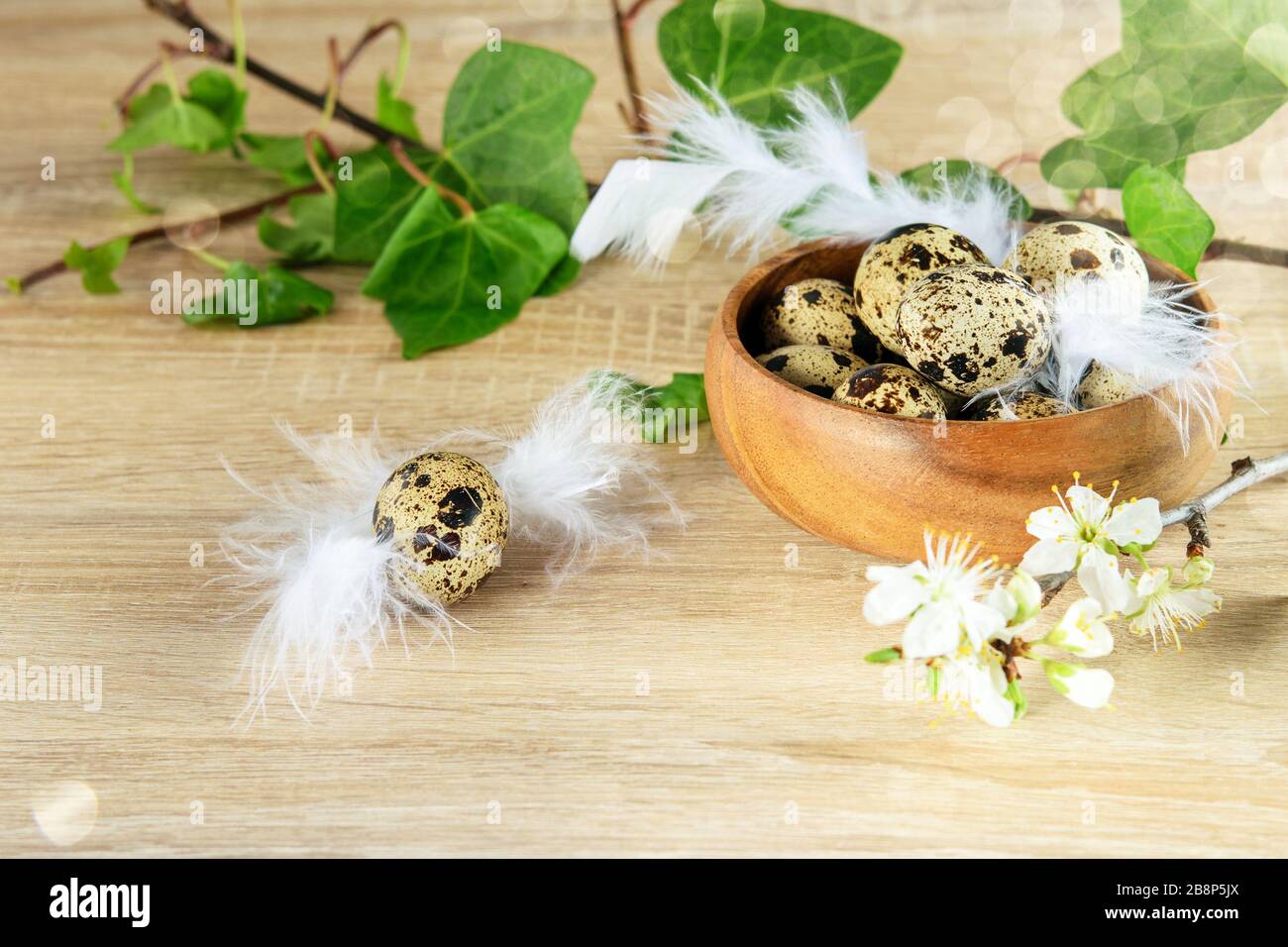 Wachtel hat Eier in der Holzschale auf dem Tisch gefleckt, die mit grünen, weißen Federn und einem blühenden Zweig aus Obstbaum verziert ist. Frohe ostervorbereitung. Stockfoto