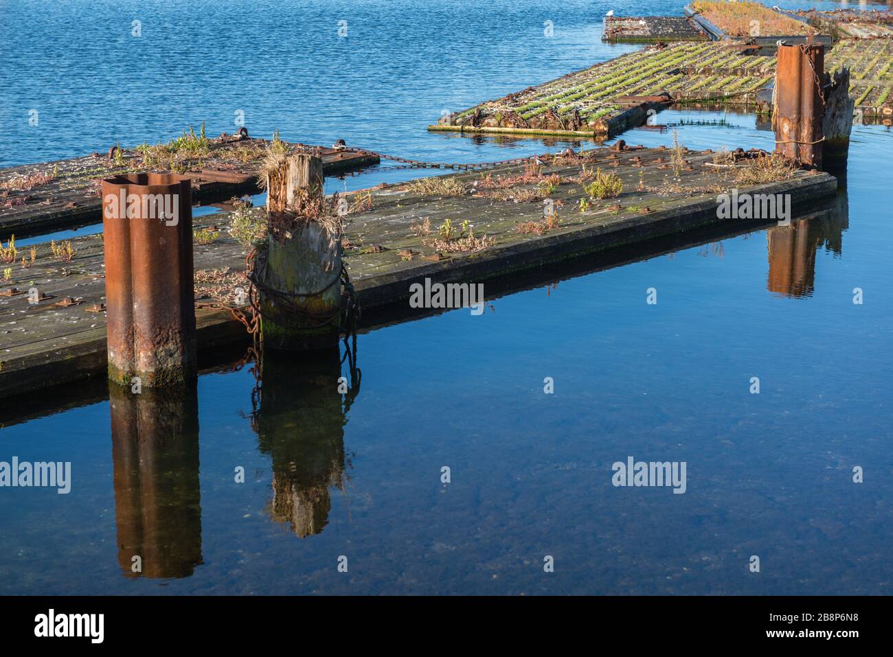 Schäbige Flöße im Hafen von Kiel-Holtenau, Kiel, Hauptstadt von Schleswig-Holstein, Norddeutschland, Mitteleuropa Stockfoto