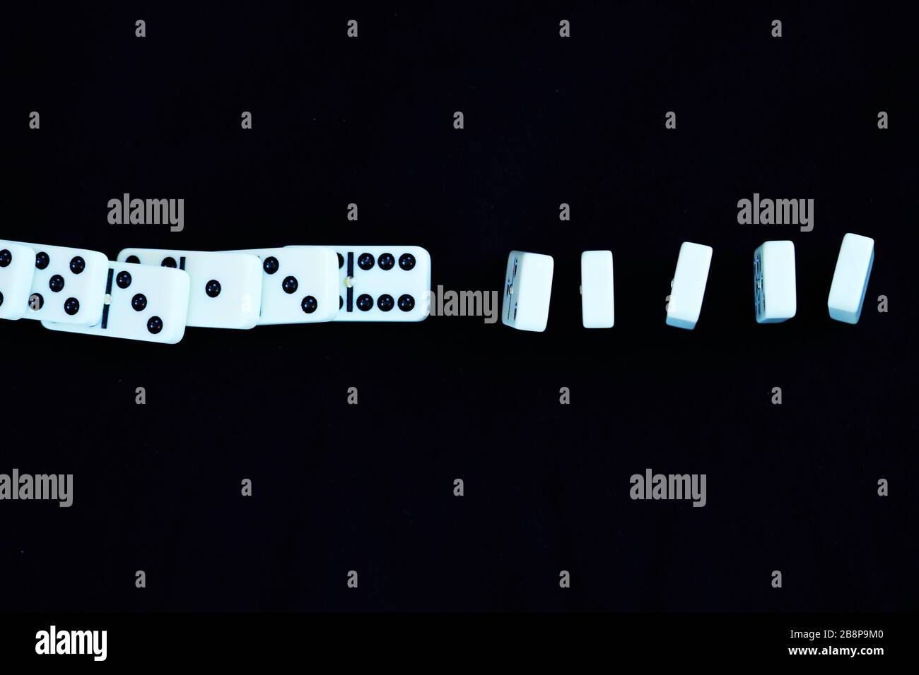 Weißer Dominostein, der von links nach rechts geradlinig fällt, mit einer Pause. Konzept für Coronavirus Kovid-19, mit sozialer Distanzierung der Ausbreitung stoppt Stockfoto