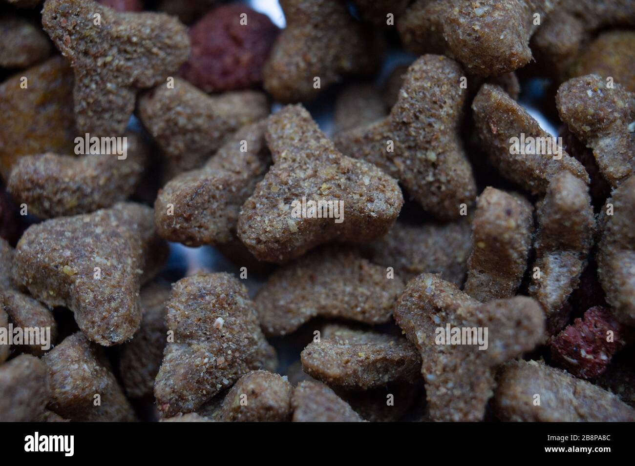 Hintergrund für Hundefutter. Makro für Haustiere. Nahaufnahme von Katzen- oder Hundefutter Stockfoto