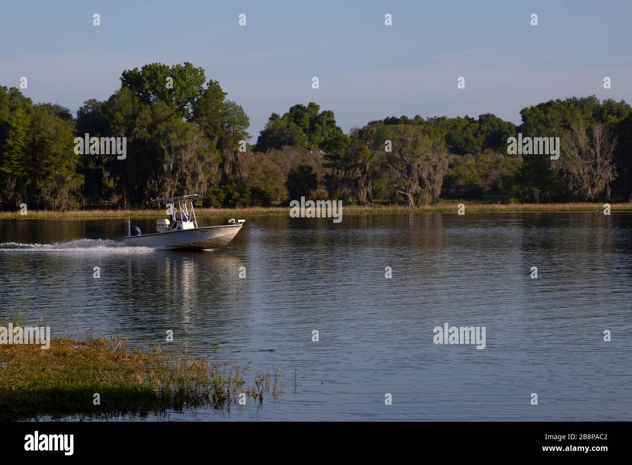 Bootstouren auf einem zentralen Florida-See Stockfoto