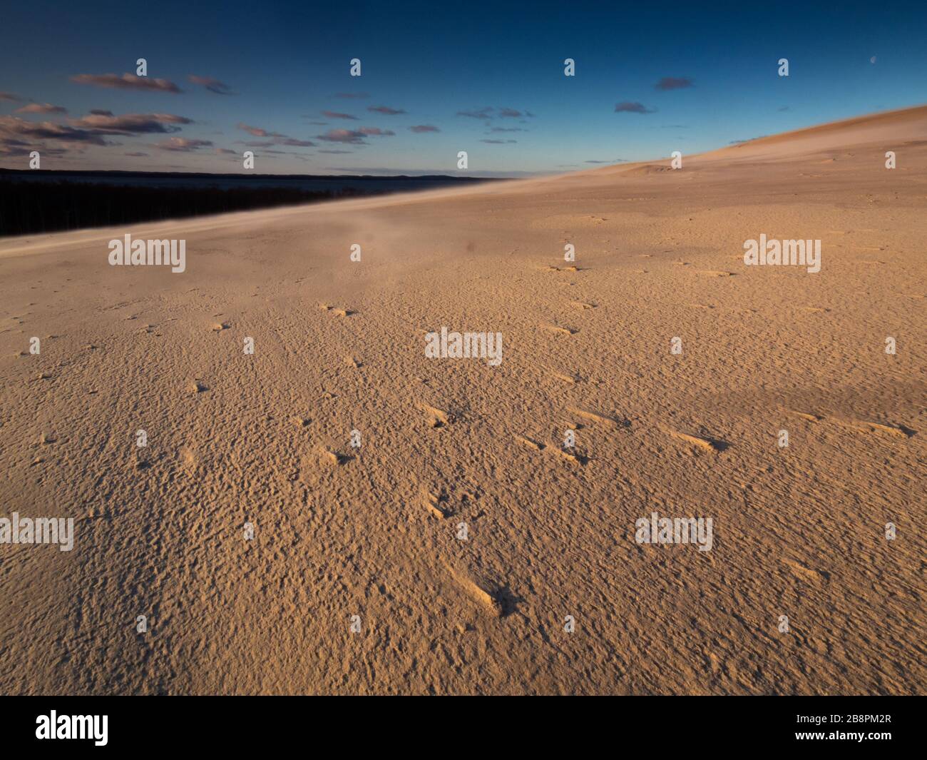 Bewegliche Sanddünen am Ufer der Ostsee. Debki, Polen. Stockfoto