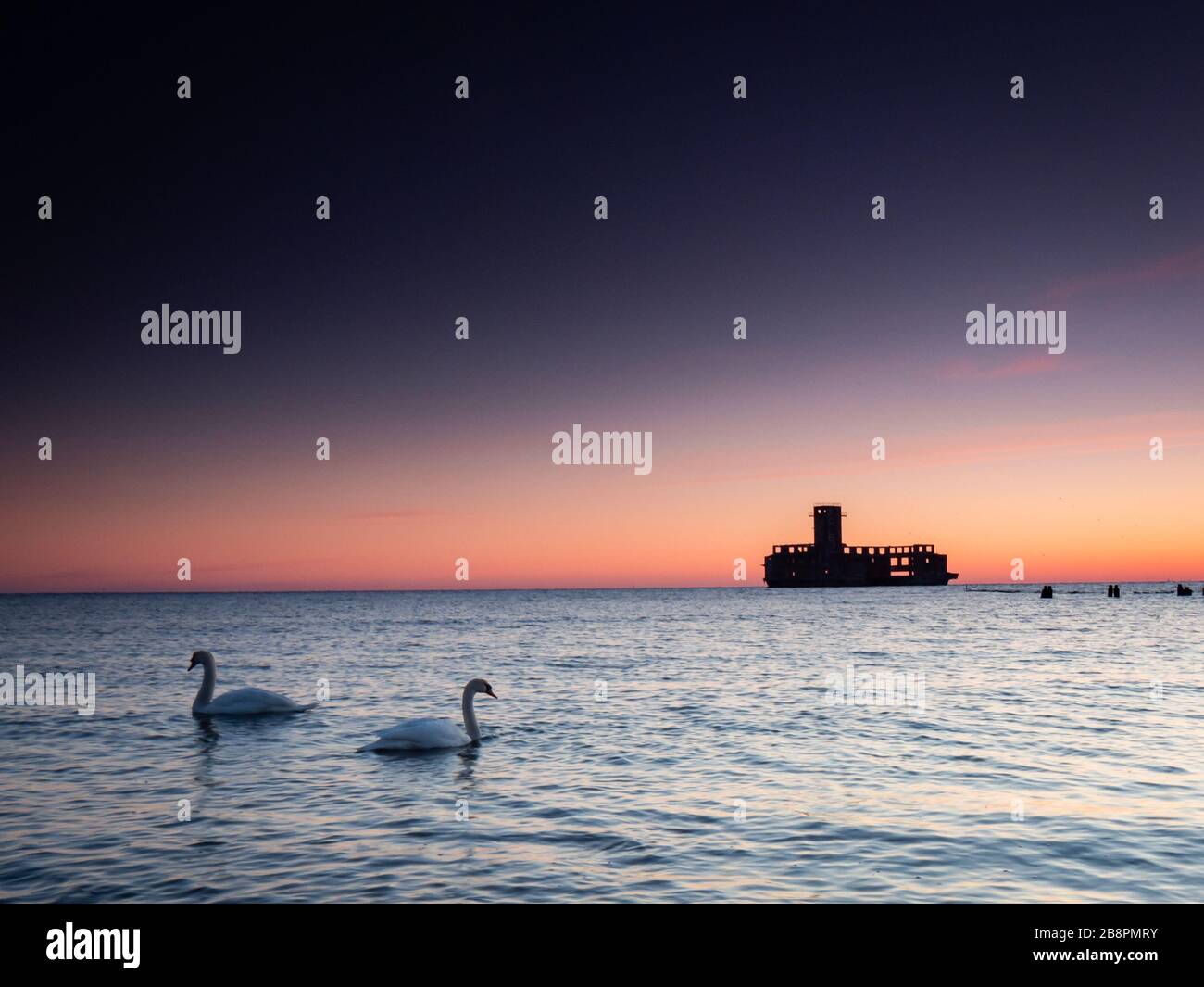 Deutsche Torpedostation, Ruinen aus dem 2. Weltkrieg bei Sonnenaufgang. Zwei weiße Schwäne schwimmen dicht am Ufer. Gdynia, Ostsee, Polen Stockfoto