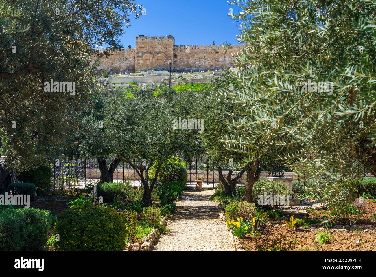Gethsemane jerusalem Fotos und Bildmaterial in hoher Auflösung Alamy