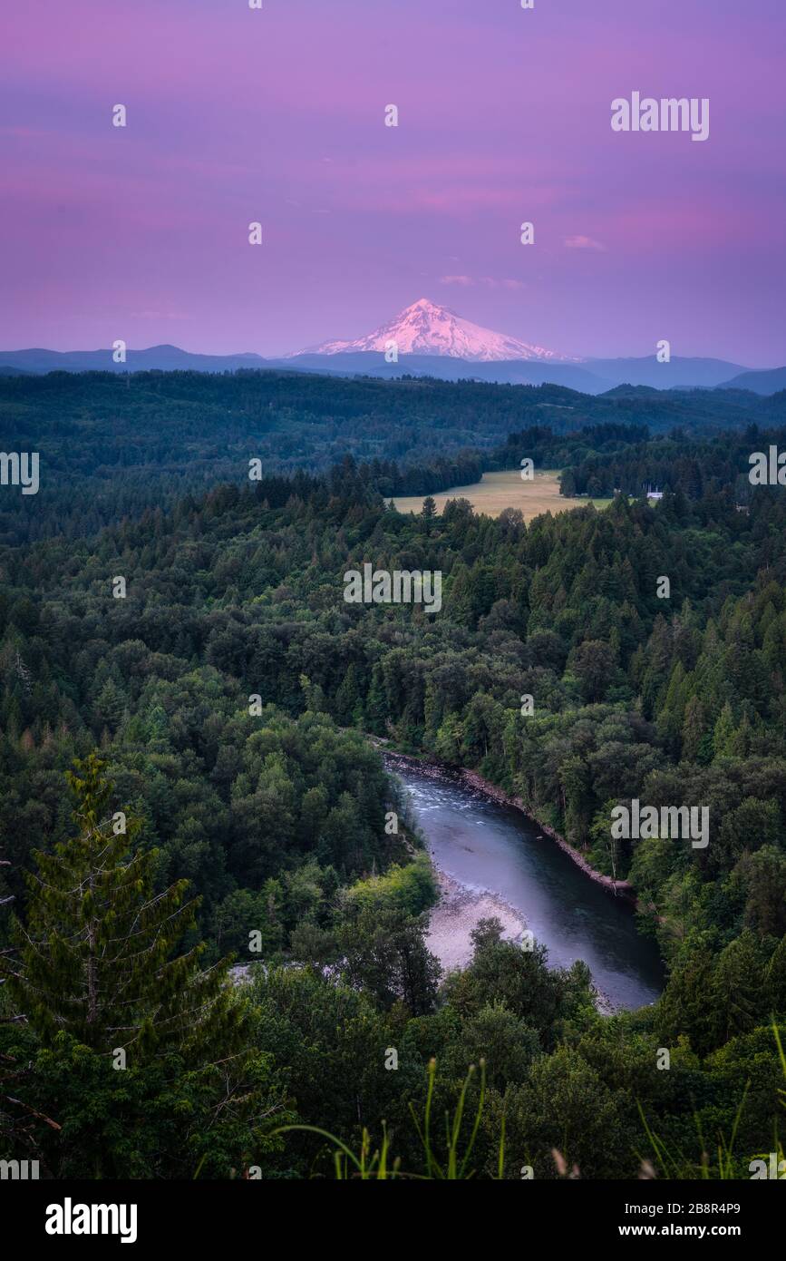 Berg in Oregon am Mt Hood Stockfoto