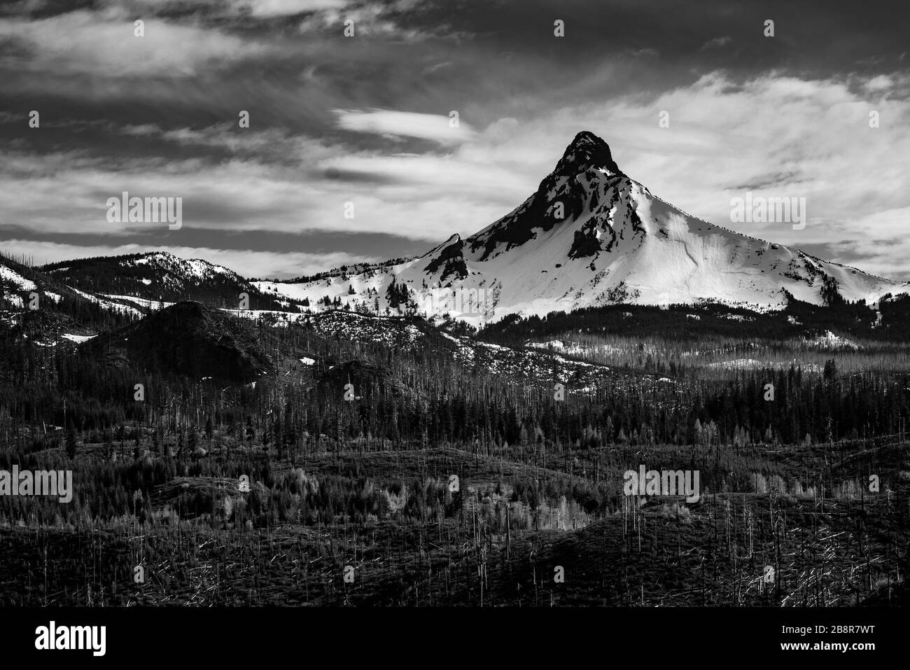 Berg in Oregon Stockfoto