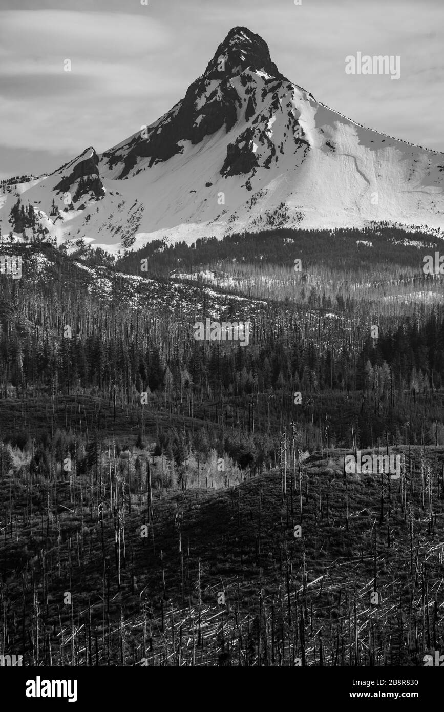 Berg in Oregon Stockfoto