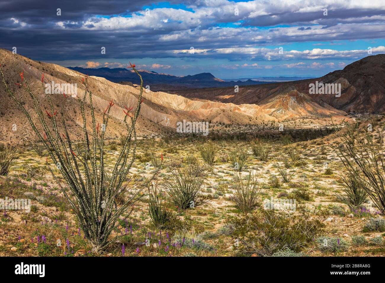 Das dapplierte Sonnenlicht bewegt sich über die mehrfarbigen Carizzo-Badlands, wie von den Carizzo-Badlands aus gesehen, die auf dem Highway S-2, dem Imperial Highway, übersehen werden. Stockfoto