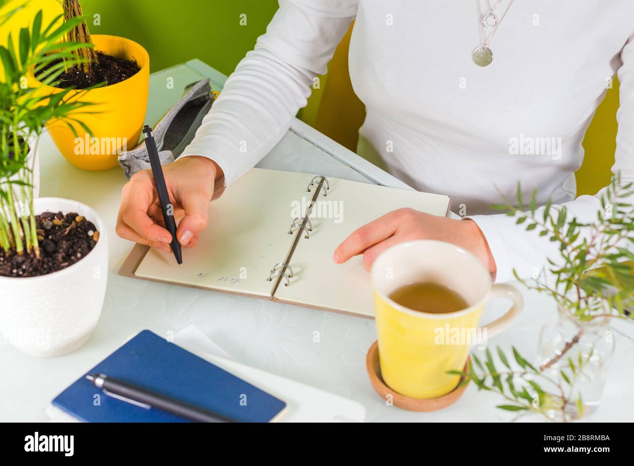 Das junge Mädchen sitzt an einem Tisch in einem gemütlichen Büro und füllt ein Tagebuch aus Stockfoto