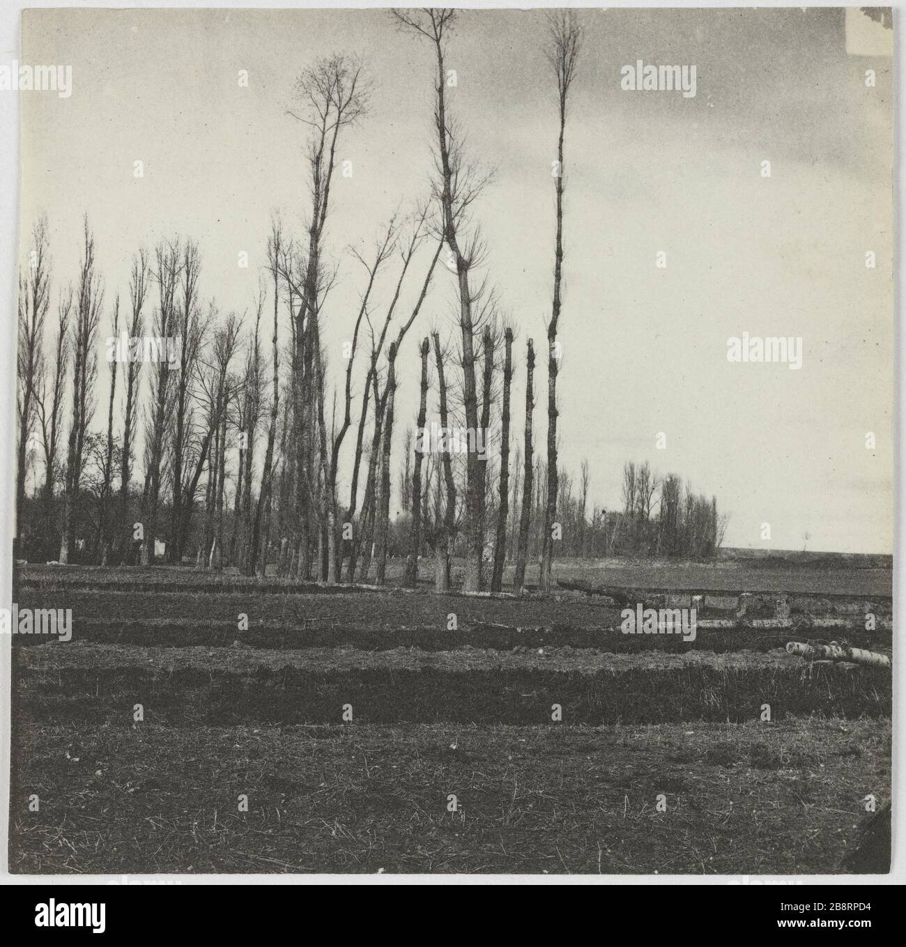 Champigny/Champigny-Schlachtfeld. Battlefield Champigny-sur-Marne. La Commune de Paris. Champ de bataille de Champigny. Champigny-sur-Marne (Val-de-Marne). Photographie d'Hippolyte Blancard (1843-1924). Tirage au platine (recto). 1870-1871. Paris, musée Carnavalet. Stockfoto