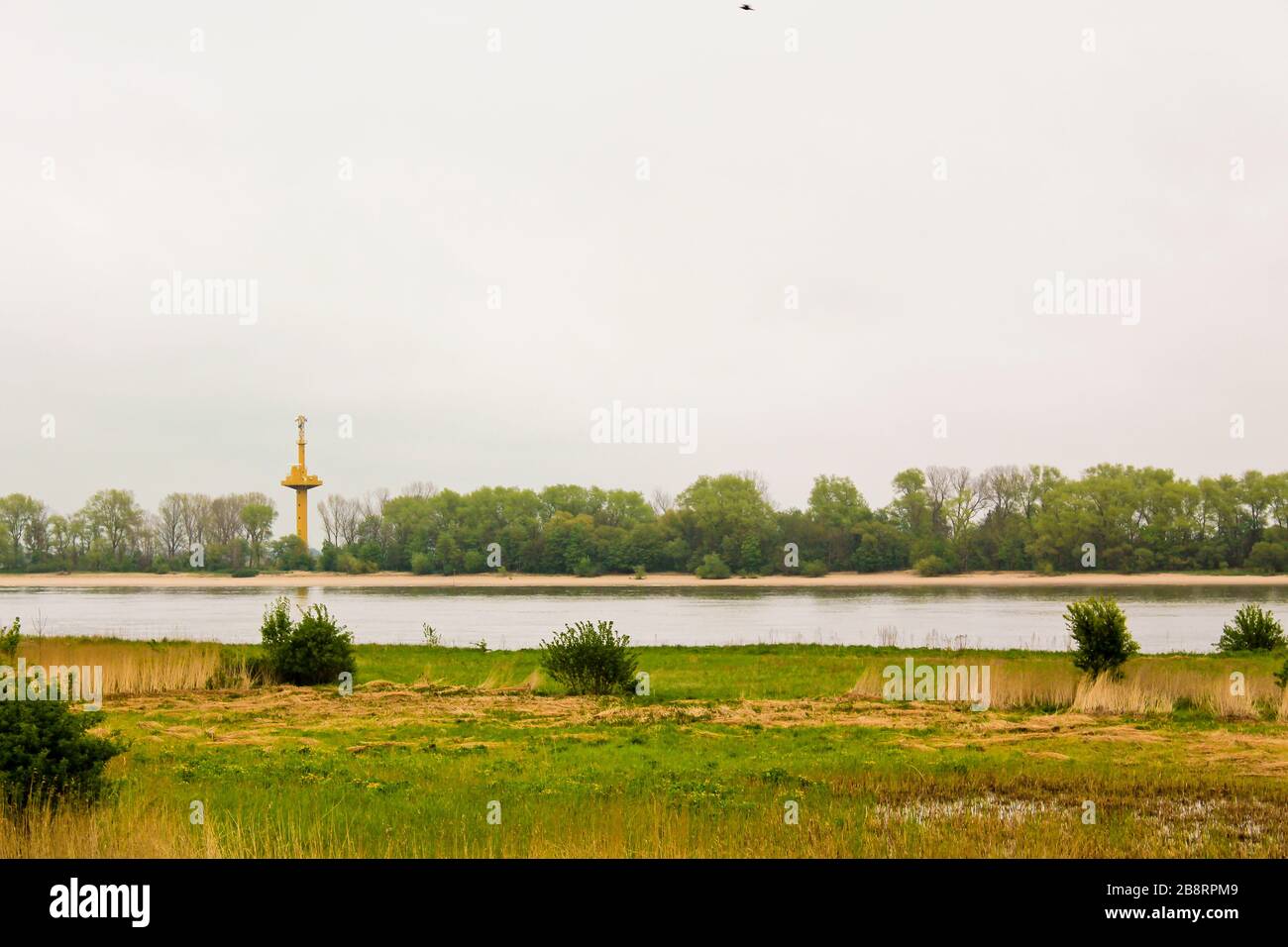 Moor und Strand bei Harrier Sand Brake in Niedersachsen Deutschland