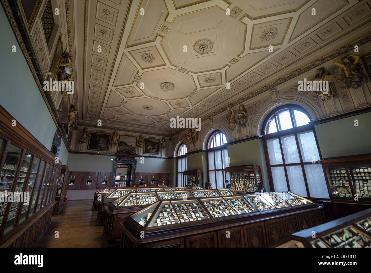 Wien, Österreich - Innere des Naturhistorischen Museums (Naturhistorisches Museum). Das Größte Und Älteste Museum In Wien Stockfoto