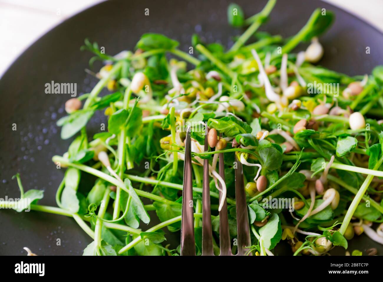 Veganer gesunder Salat aus Erbsen mikrogrünen Sprossen und gesprenkten Bohnen auf Holzgrund. Stockfoto