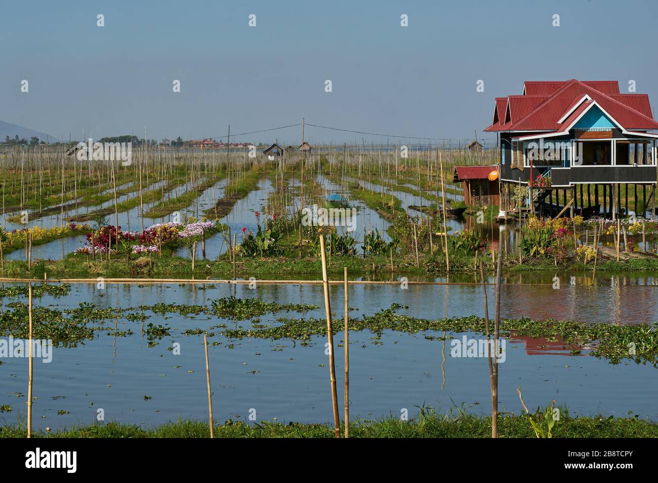 Schwimmende Gärten auf dem Inle-See, Haus auf Stelzen, Shan-Staat, Myanmar Stockfoto